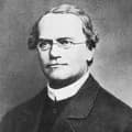 Gregor Mendel